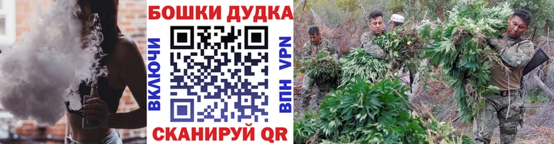 Каннабис сатива  Череповец 